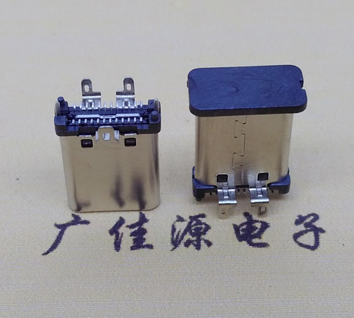 USB Type C公头直立式