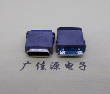 防水type c2p母座立式焊线充电接口